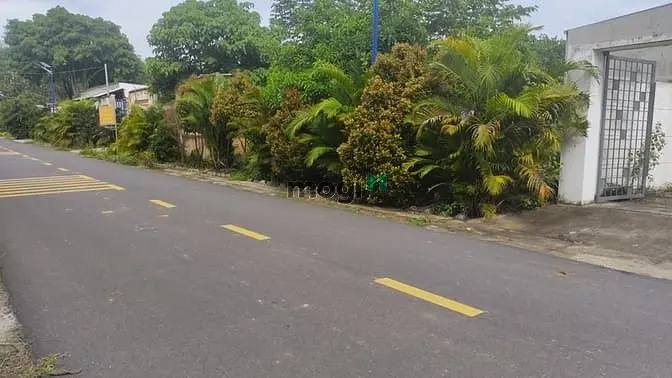 Bán Đất Mặt Đương Nhựa Đa Lộc Cách Hương Lộ 15 Bình Lợi Chỉ 500 Mét