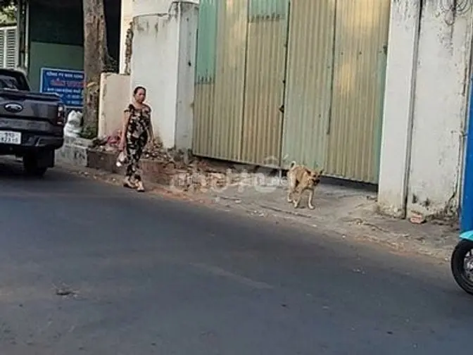 Bán Gấp Lô Đất Kp Đông Thành, Tân Đông Hiệp, Tp Dĩ An, Bình Dương