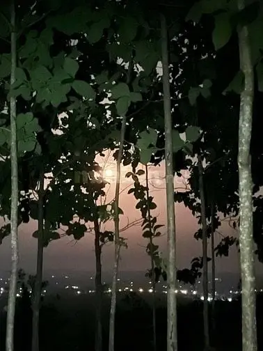 Bán Đất View Suối Đẹp Tuyệt Tại Định Quán Đồng Nai 850Tr/1000M2