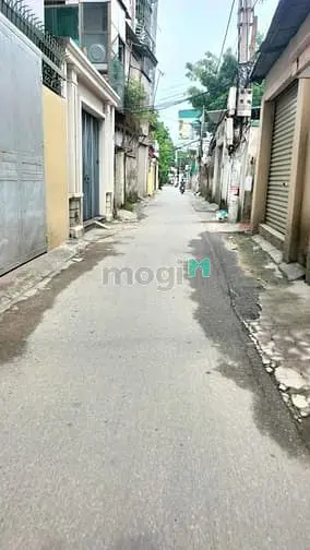 6003624 ảnh đại diện 1