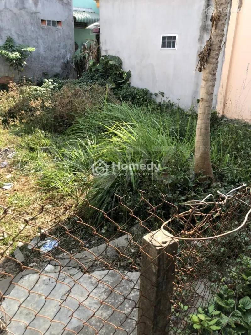 Cần Bán Gấp Đất Ngay Cầu Ông Thìn, Ql 50, Bình Chánh