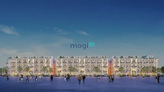 6003520 ảnh đại diện 1