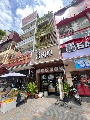 Bán Nhà Mặt Tiền Hòa Bình Đối Diện Đầm Sen .Q.11. 4Mx13M Giá 13,5 Tỷ