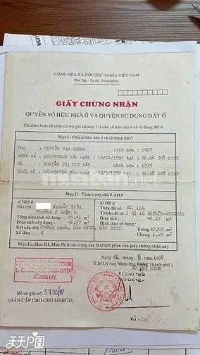 6003487 ảnh đại diện 1