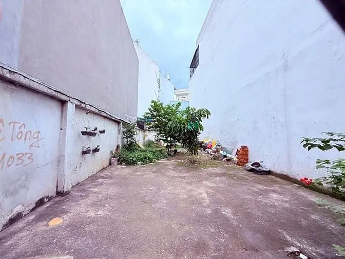 6003546 ảnh đại diện 1