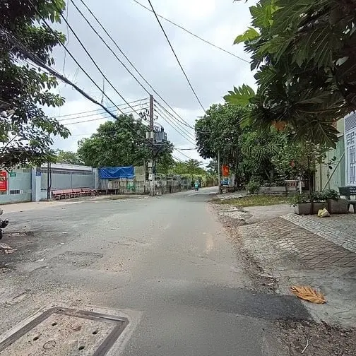 6003436 ảnh đại diện 1