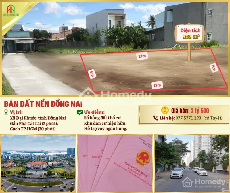 6003476 ảnh đại diện 1