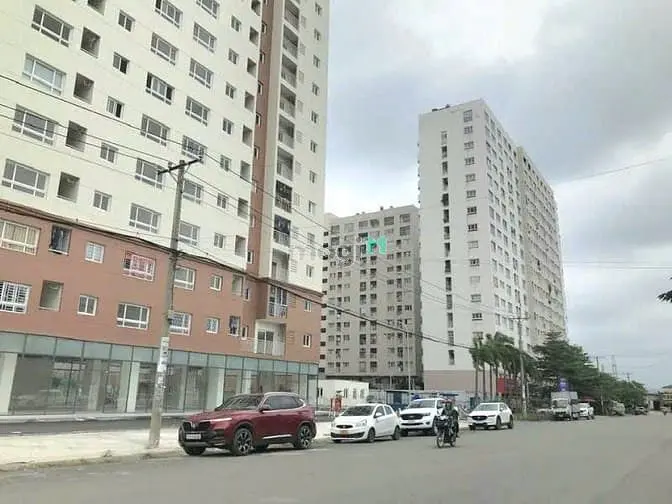 6003196 ảnh đại diện 1