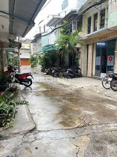 6003236 ảnh đại diện 1