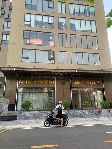6003501 ảnh đại diện 1