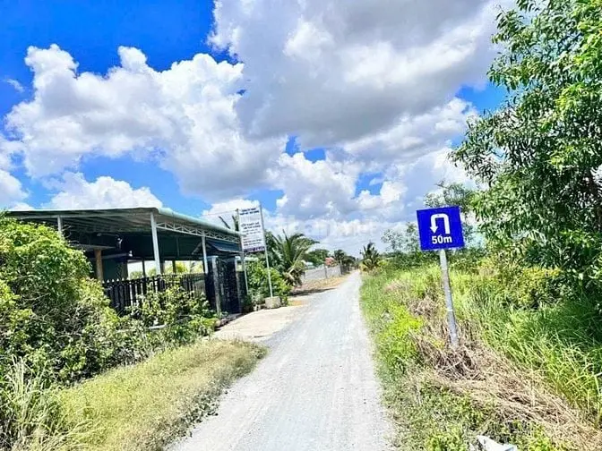 Siêu Phẩm 1000Mv Vườn Mặt Tiền Đường Năm Liệt Đang Trải Nhựa Cần Bán