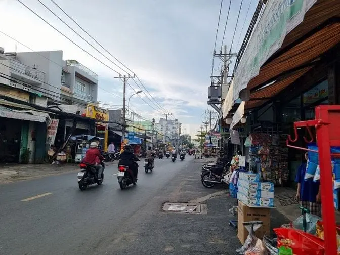 6003455 ảnh đại diện 1