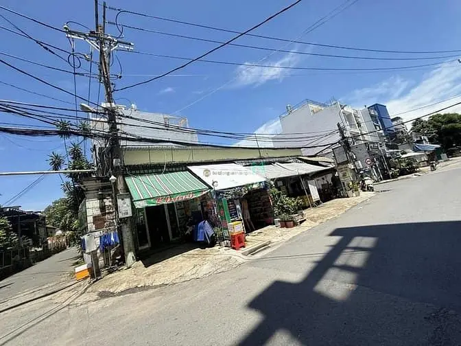 6003340 ảnh đại diện 1