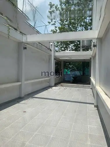 6003585 ảnh đại diện 1