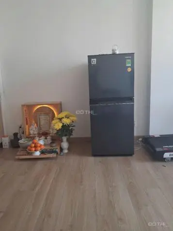 6003565 ảnh đại diện 1