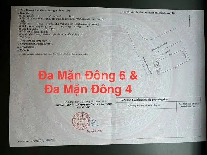 6003661 ảnh đại diện 1