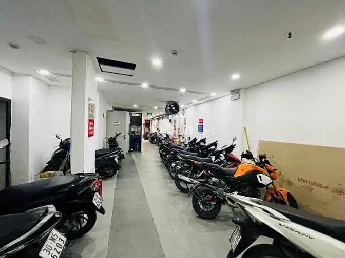 6003668 ảnh đại diện 1