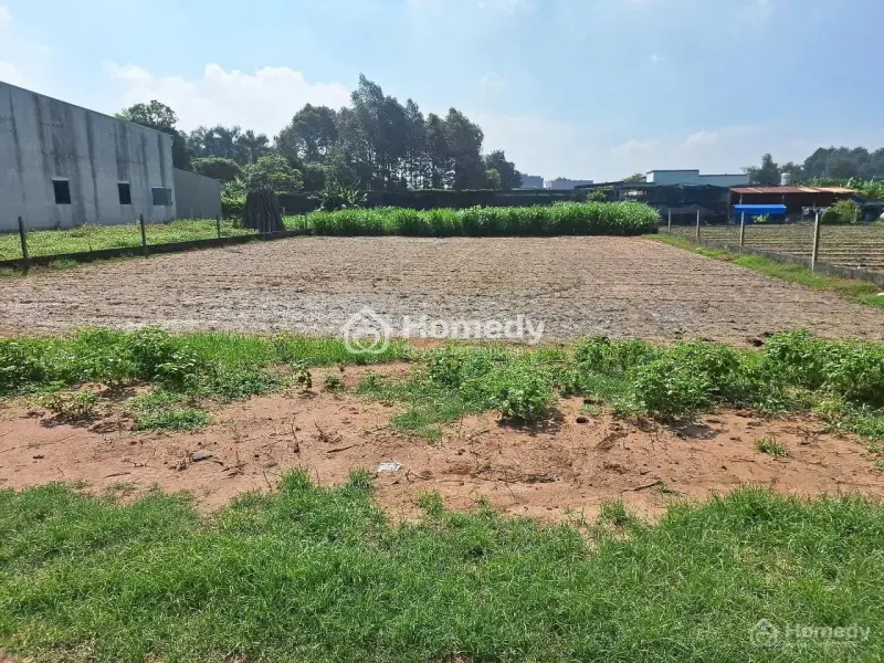 Cần Bán Gấp Cho Con Tiền Đi Nhật Đất Củ Chi Ngay Bệnh Viện Đa Khoa Củ Chi