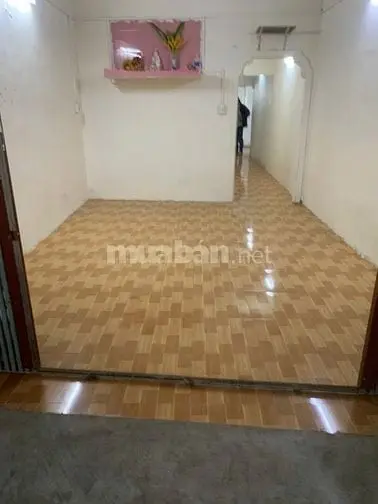 6004541 ảnh đại diện 1