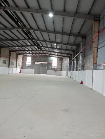 6004080 ảnh đại diện 1