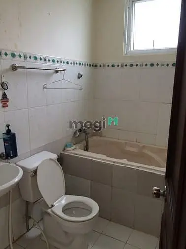 6004491 ảnh đại diện 1