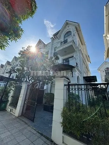 6003834 ảnh đại diện 1
