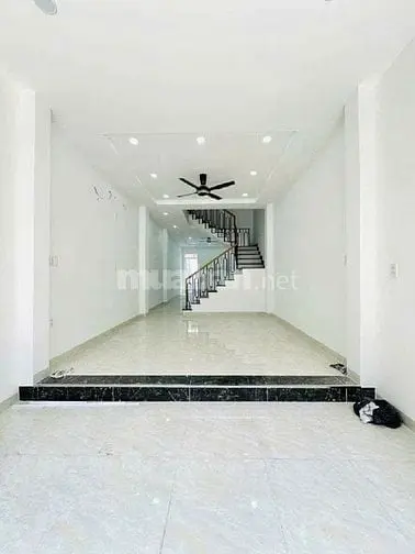 6004563 ảnh đại diện 1