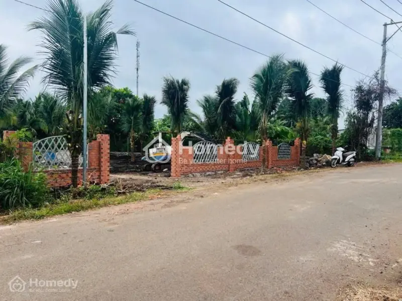 6004451 ảnh đại diện 1