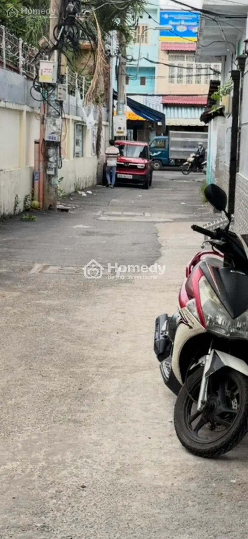 6004331 ảnh đại diện 1