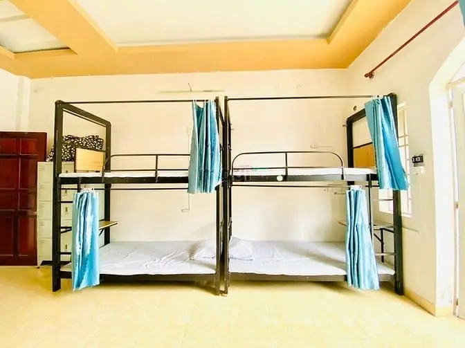 6004107 ảnh đại diện 1