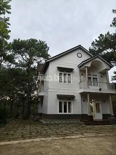 6004132 ảnh đại diện 1