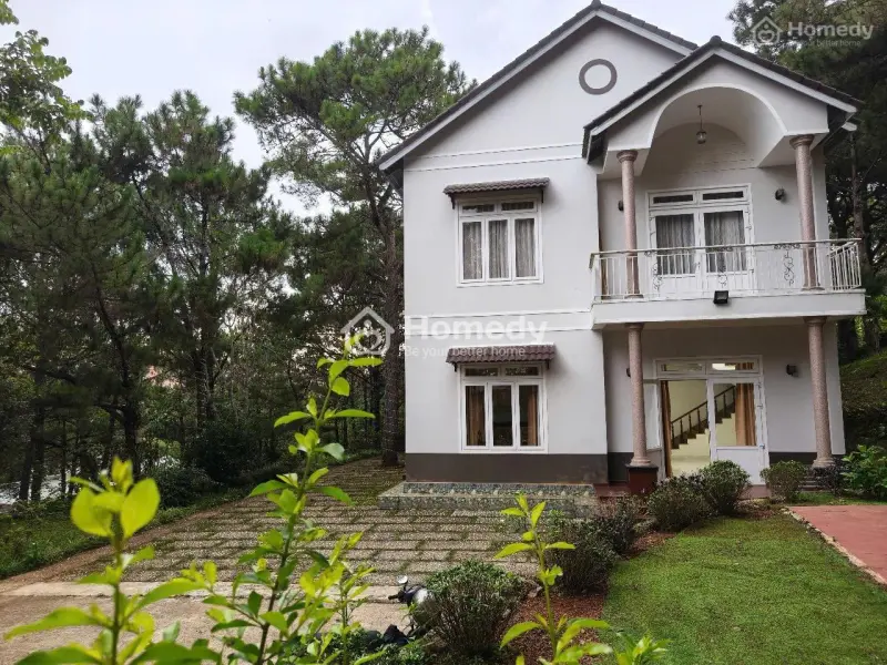 6004303 ảnh đại diện 1