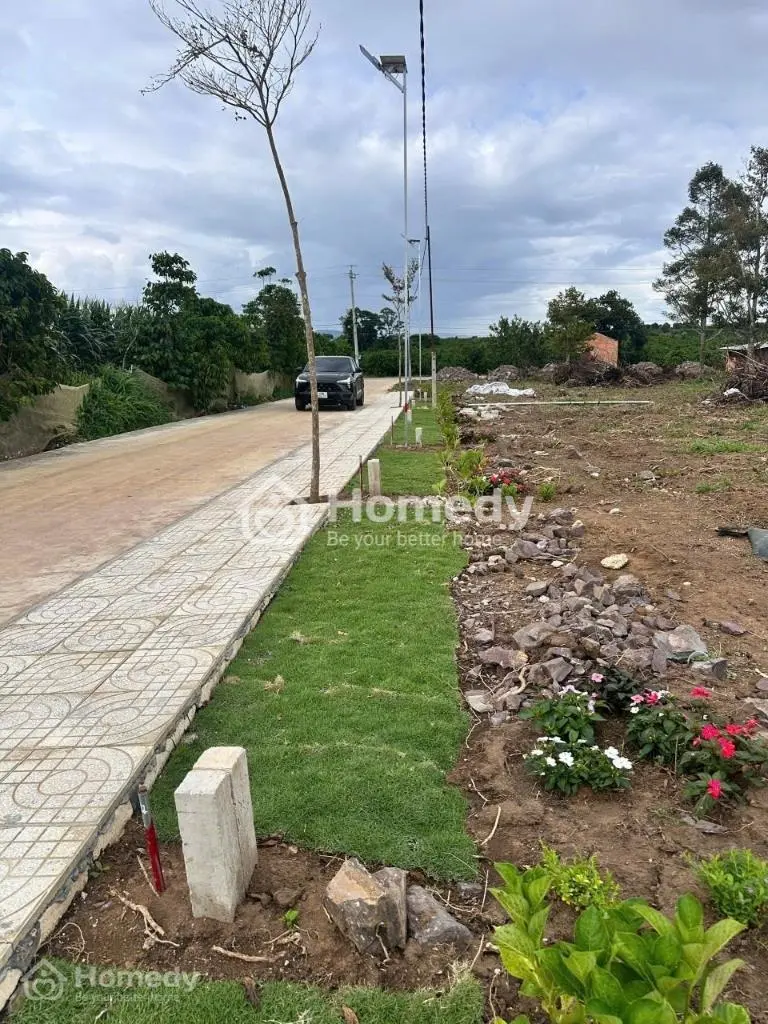 Đất Gì Mà Rẻ Quá Trời Luôn Mọi Người Ơi Nhanh Tay Ạ