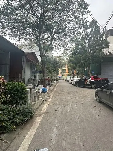 6004348 ảnh đại diện 1