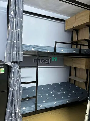 6004481 ảnh đại diện 1