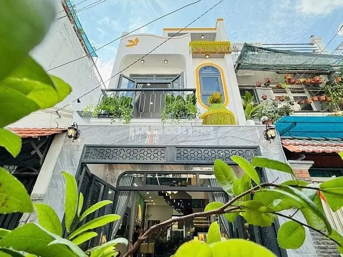 6004534 ảnh đại diện 1