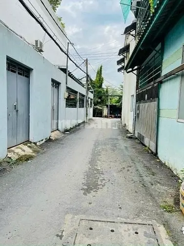 6004276 ảnh đại diện 1