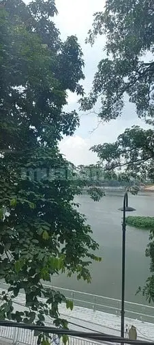 6004168 ảnh đại diện 1