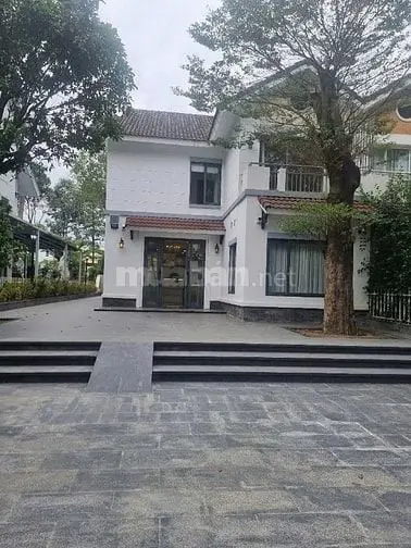 6003794 ảnh đại diện 1