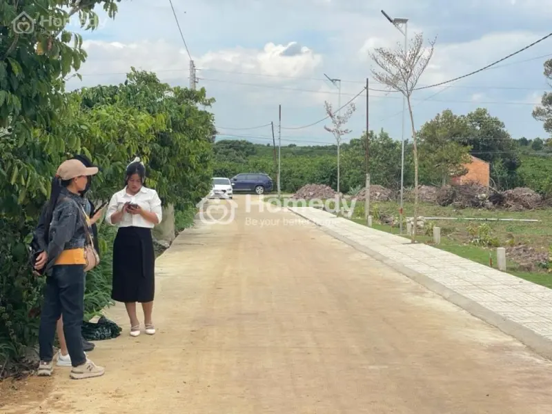6004369 ảnh đại diện 1