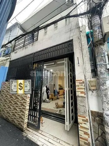 6004531 ảnh đại diện 1