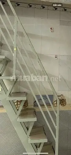 6004566 ảnh đại diện 1