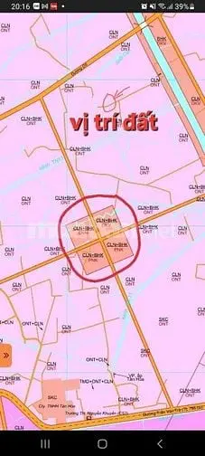 6004257 ảnh đại diện 1