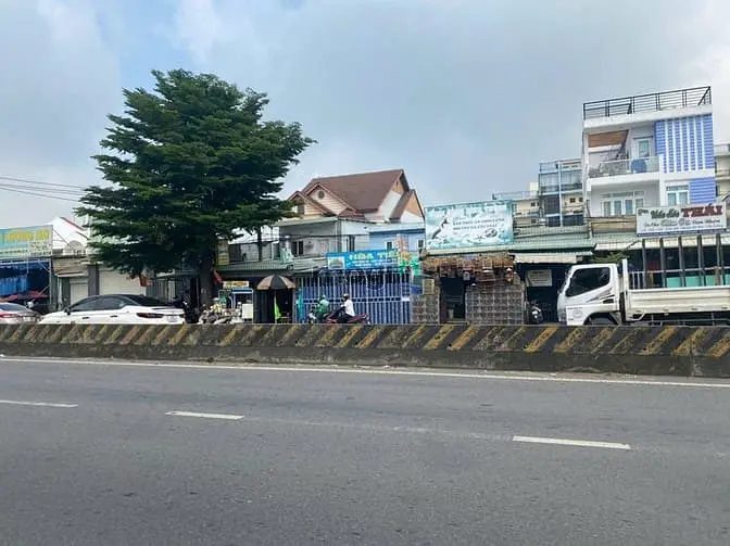 6004046 ảnh đại diện 1