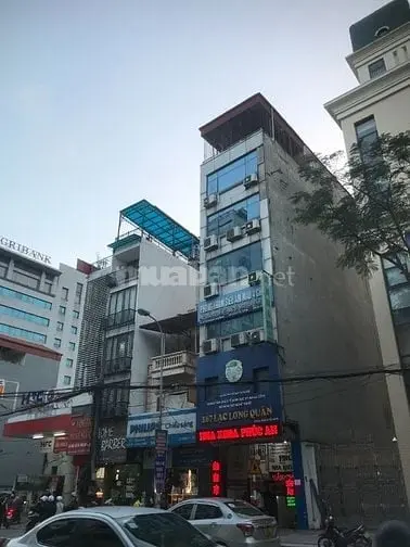 6004114 ảnh đại diện 1
