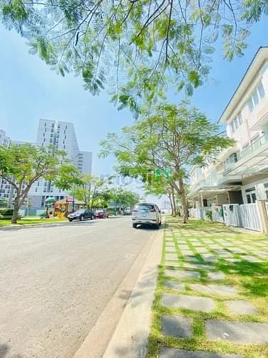 6004135 ảnh đại diện 1