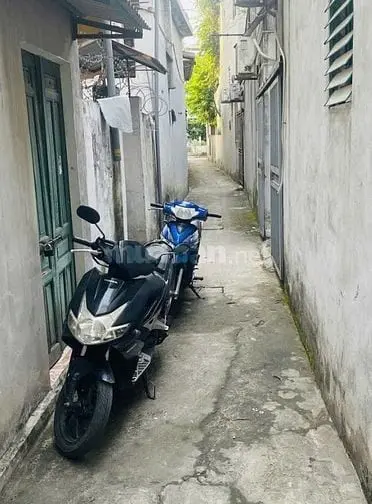 6004362 ảnh đại diện 1