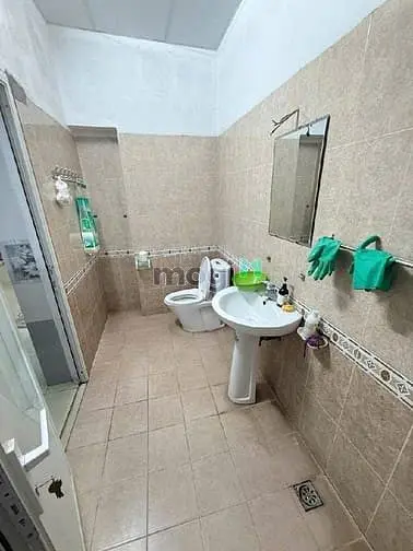 6004431 ảnh đại diện 1