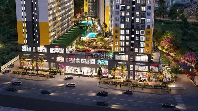 6004407 ảnh đại diện 1