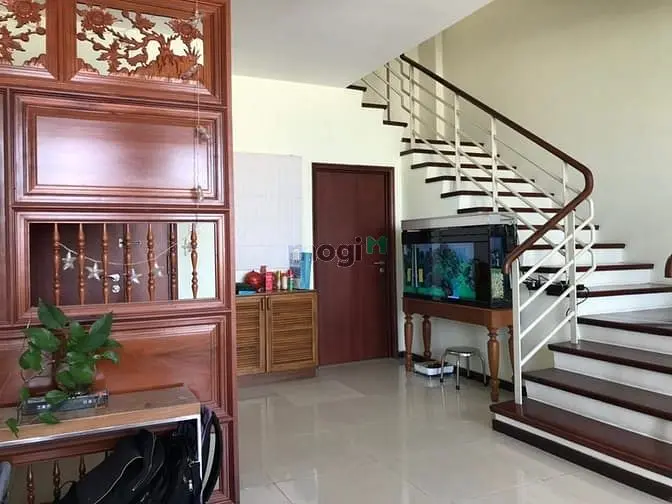 6004353 ảnh đại diện 1